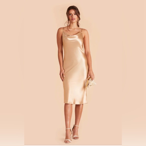 Birdy Grey Dresses & Skirts - Size 6 Birdy Grey Lisa Midi Dress Worn Once